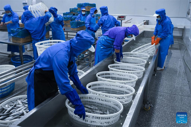 Ushirikiano wa Eneo Maalum la Viwanda kati ya China na Indonesia waleta manufaa kwa pande mbili