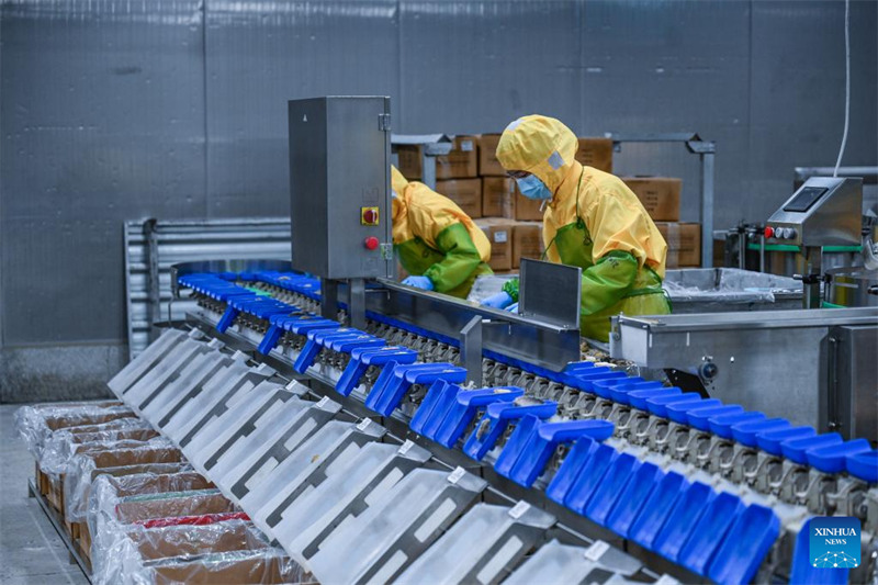 Ushirikiano wa Eneo Maalum la Viwanda kati ya China na Indonesia waleta manufaa kwa pande mbili