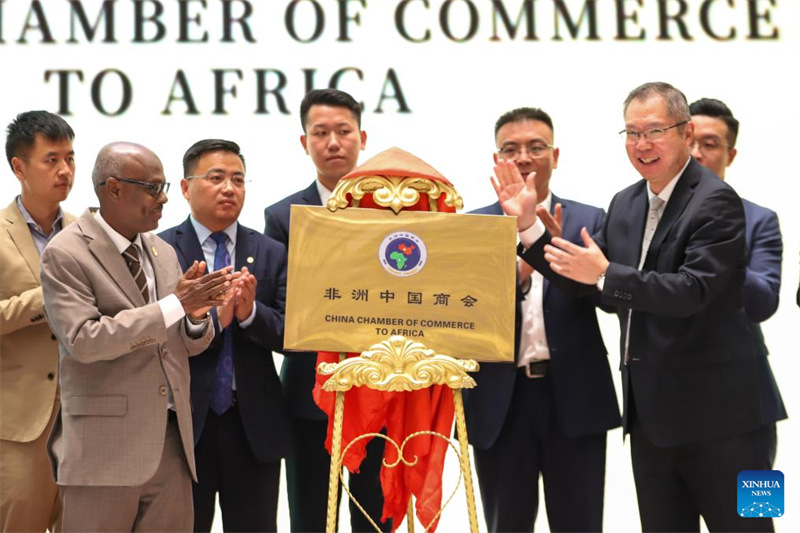 Shirikisho la Wafanyabiashara wa China barani Afrika laanzishwa ili kukuza ushirikiano mpana kati ya China na Afrika