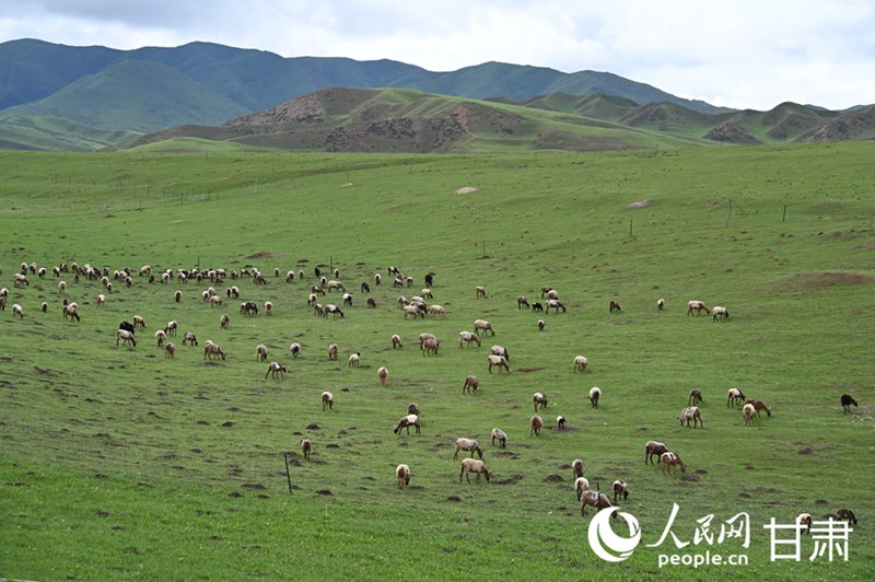 Picha: Mandhari ya mbuga katika majira ya joto mkoani Gansu, China